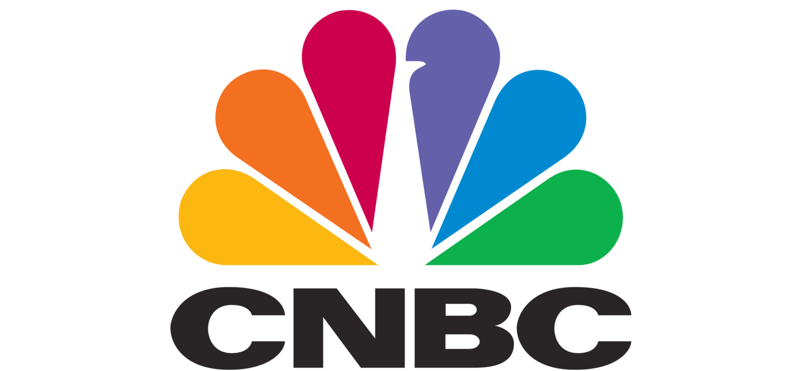 The CNBC logo featuring a multicolored peacock above the acronym "CNBC" in bold, black letters.